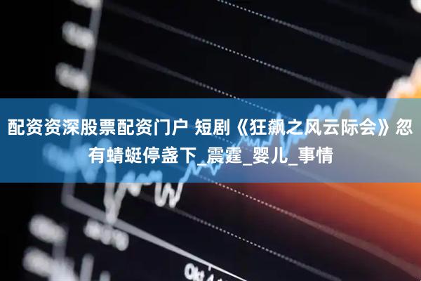配资资深股票配资门户 短剧《狂飙之风云际会》忽有蜻蜓停盏下_震霆_婴儿_事情