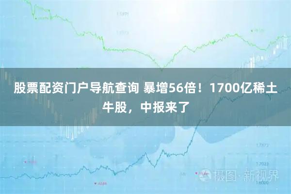 股票配资门户导航查询 暴增56倍！1700亿稀土牛股，中报来了