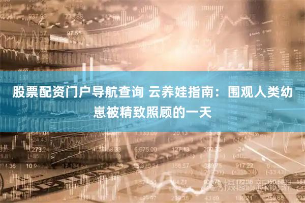 股票配资门户导航查询 云养娃指南：围观人类幼崽被精致照顾的一天